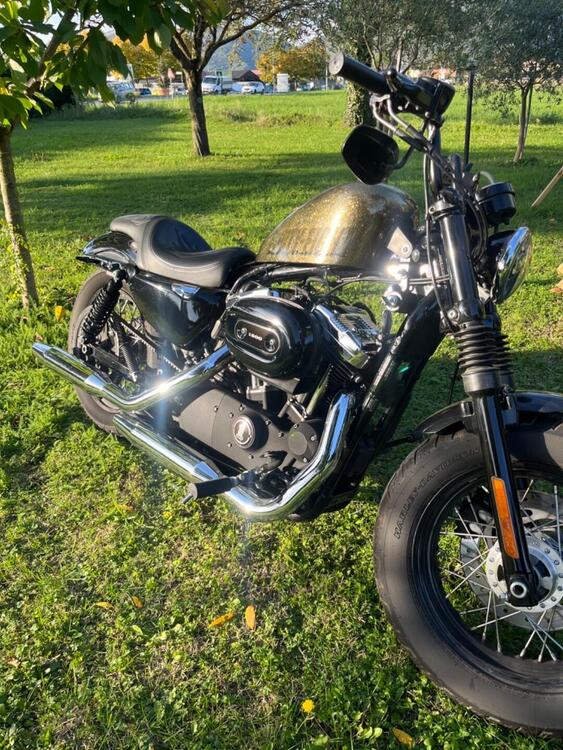 Harley-Davidson 1200 Forty-Eight (2010 - 15) (2)