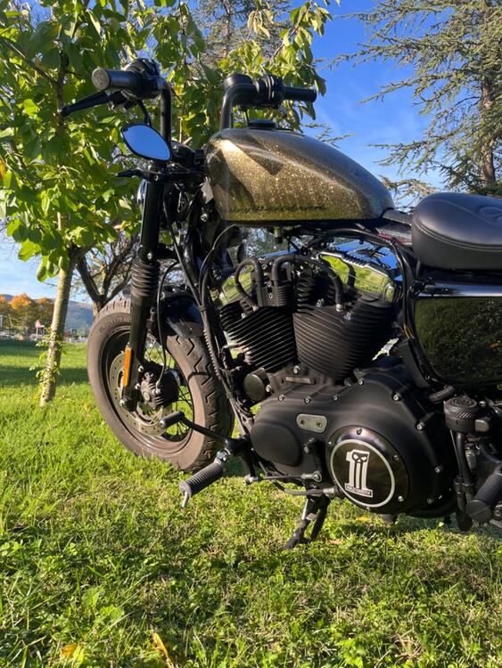 Harley-Davidson 1200 Forty-Eight (2010 - 15) (4)