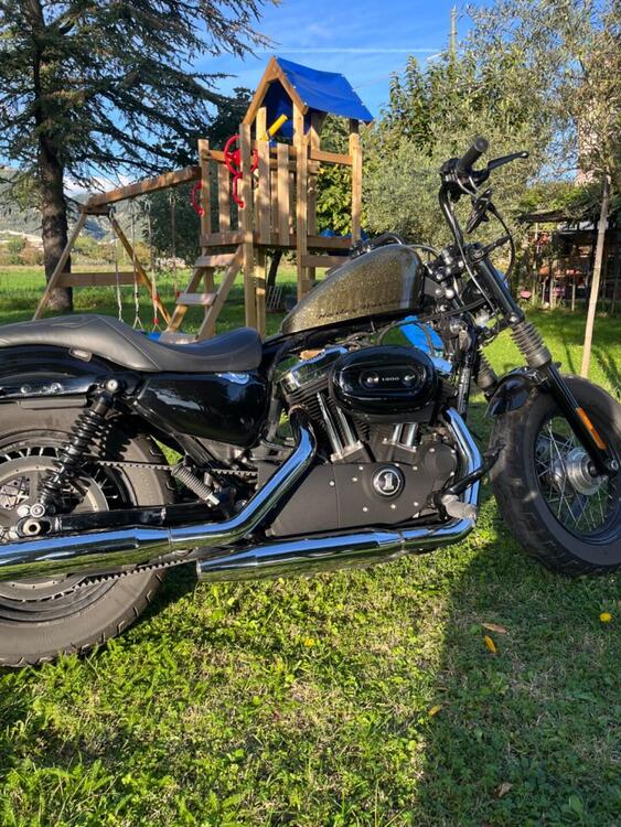 Harley-Davidson 1200 Forty-Eight (2010 - 15) (5)