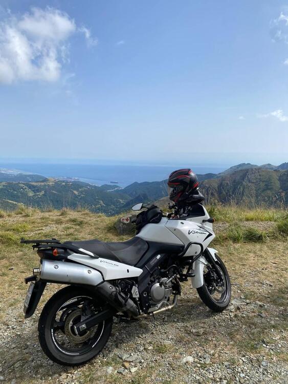 Suzuki V-Strom 650 Traveller (2006 - 11)