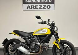 Ducati Scrambler 800 Icon (2015 - 16) usata