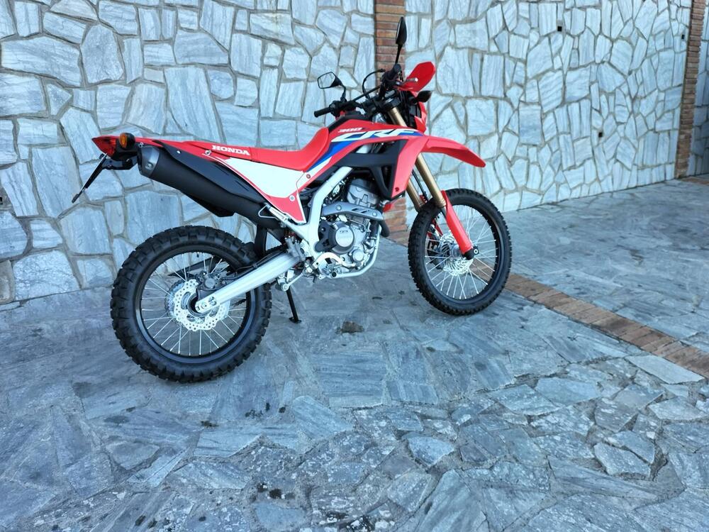 Honda CRF 300 L (2021 - 24)