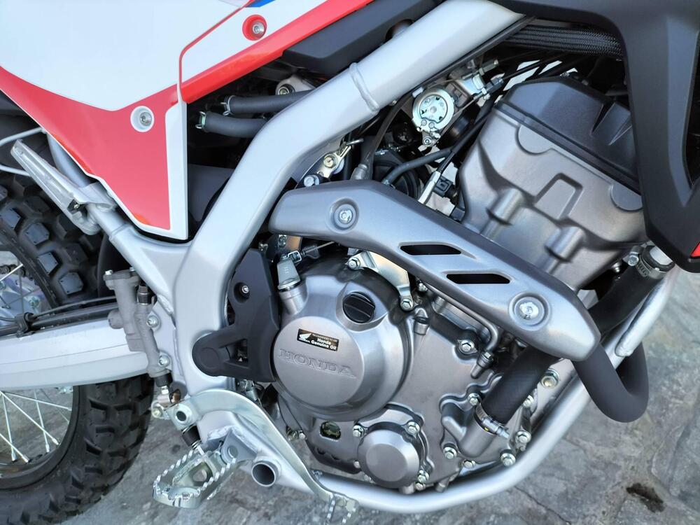 Honda CRF 300 L (2021 - 24) (4)