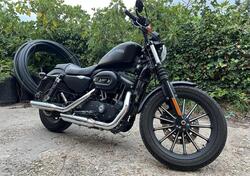 Harley-Davidson 883 Iron (2012 - 14) - XL 883N usata