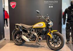 Ducati Scrambler 800 Icon (2021 - 22) usata