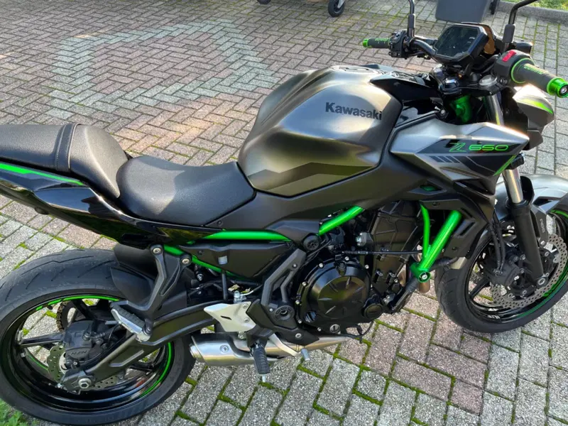 Kawasaki Z 650 (2021 - 24) (16)