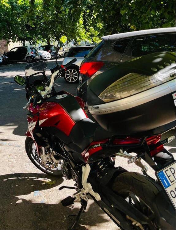 Benelli TRK 251 (2019 - 20) (2)