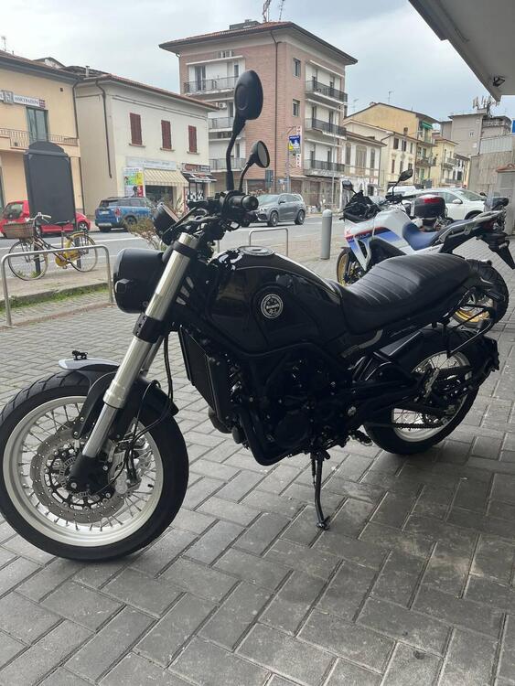 Benelli Leoncino 500 Trail (2021 - 24) (5)