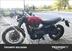 Triumph Scrambler 1200 X (2024) (9)