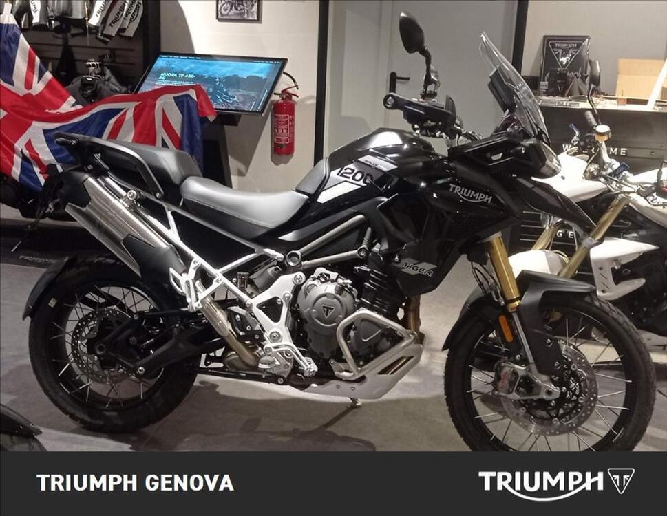 Triumph Tiger 1200 Rally Pro (2022 - 23)