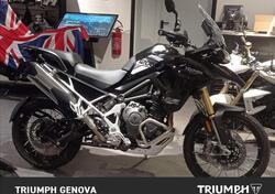 Triumph Tiger 1200 Rally Pro (2022 - 23) usata