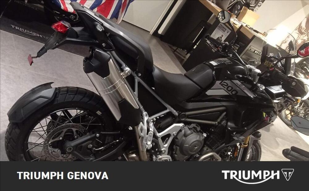 Triumph Tiger 1200 Rally Pro (2022 - 23) (4)