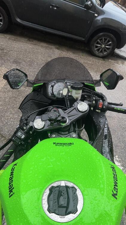 Kawasaki Ninja 636 ZX-6R KRT (2019 - 20) (3)