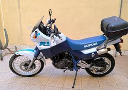 Suzuki DR 650 RS (1989 - 90) usata