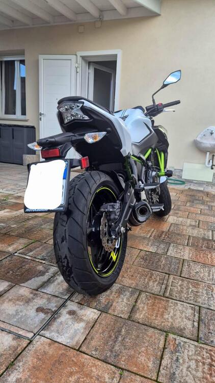 Kawasaki Z 650 (2020) (4)