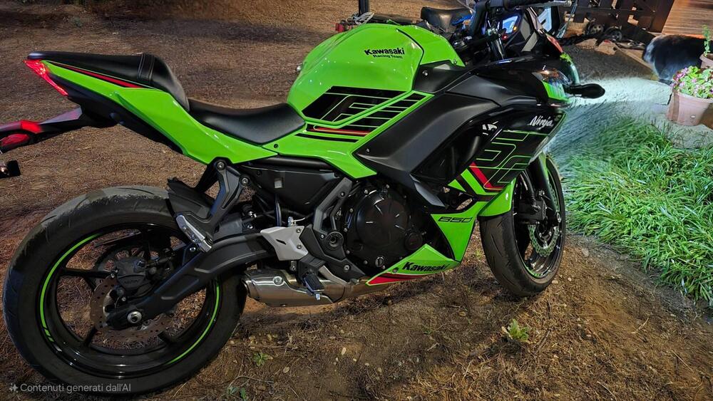 Kawasaki Ninja 650 (2021 - 25) (2)