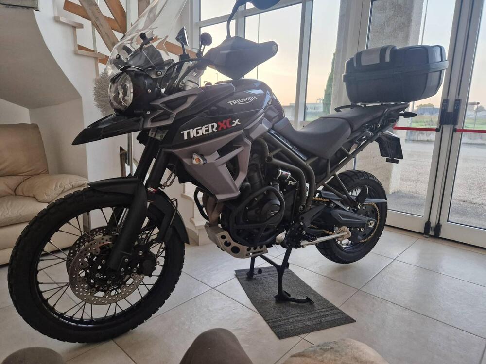 Triumph Tiger 800 XCx (2015 - 17) (4)