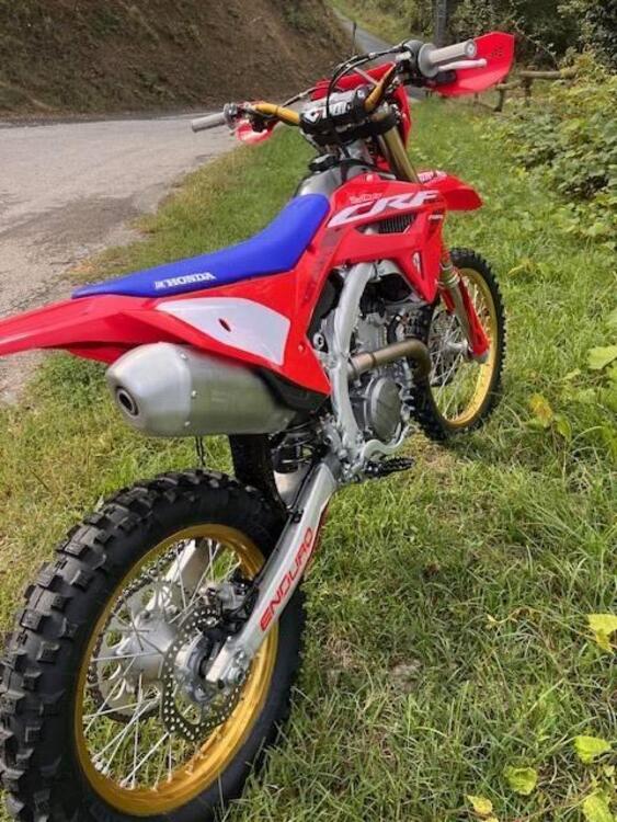 Vendo Honda CRF 250 RX Enduro (2024) usata a Torino (codice 9555533