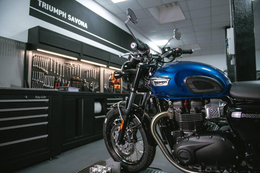 Triumph Bonneville T100 (2021 - 24) (2)