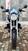 Bmw R 850 R Comfort (2004 - 07) (6)