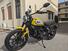 Ducati Scrambler 800 Icon (2021 - 22) (9)