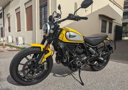 Ducati Scrambler 800 Icon (2021 - 22) usata