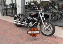 Harley-Davidson Softail Standard (2021 - 24) usata