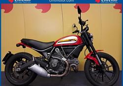 Ducati Scrambler 800 Icon (2015 - 16) usata