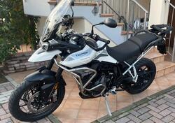 Triumph Tiger 900 GT (2020 - 23) usata