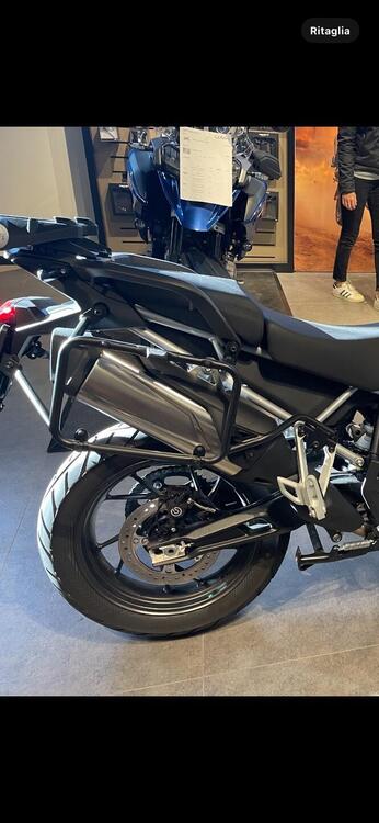 Triumph Tiger 900 GT (2020 - 23) (5)