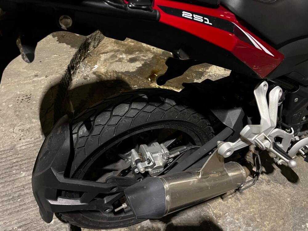 Benelli TRK 251 (2019 - 20) (4)