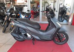 Sym HD 300 (2019 - 20) usata