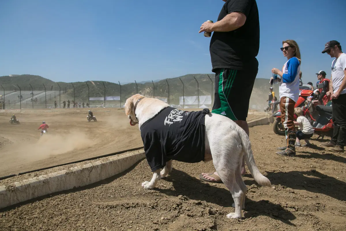 Ride in the USA. Hell on Wheels: polvere e passione su due ruote (36)