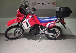 Kawasaki KLR 650 (1988 - 00) usata