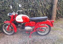 Aermacchi Harley-Davidson Wisconsin 250 d'epoca