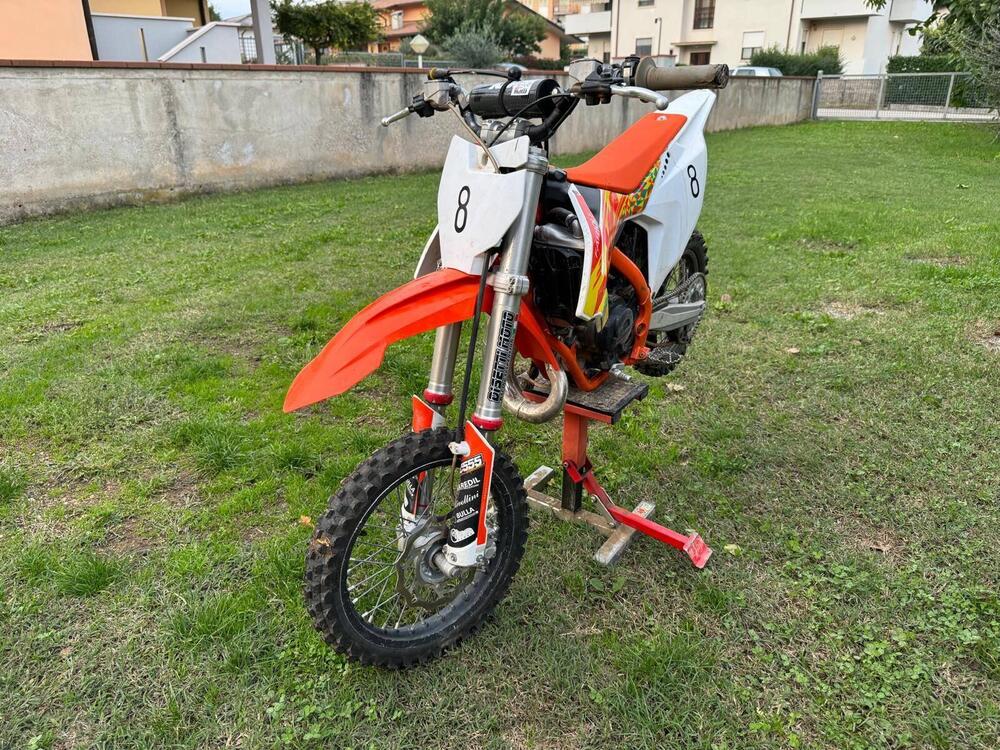 KTM SX 65 (2020) (2)