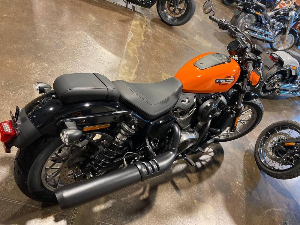 Harley-Davidson Nightster Special (2023 - 24) (5)