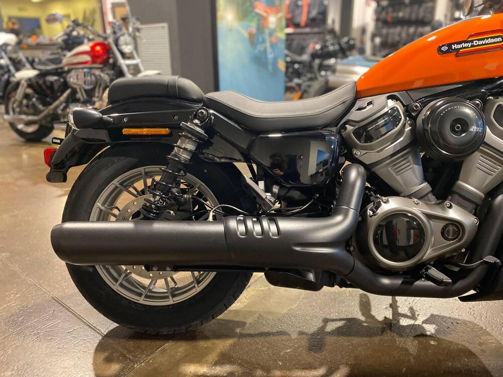 Harley-Davidson Nightster Special (2023 - 24) (4)