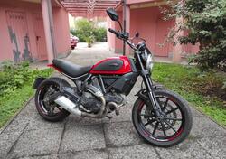 Ducati Scrambler 800 Icon (2015 - 16) usata