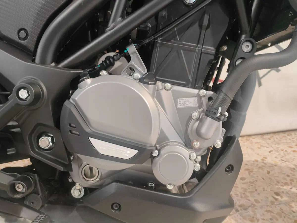 CFMOTO 300NK (2021 - 26) (8)