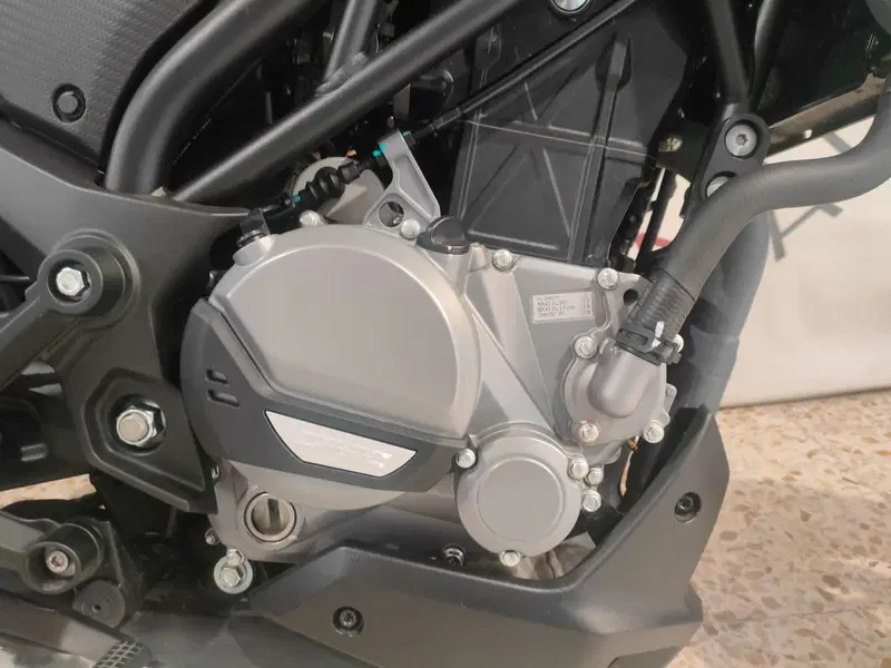 CFMOTO 300NK (2021 - 26) (8)