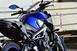 Yamaha MT-09 (2017 - 20) (6)