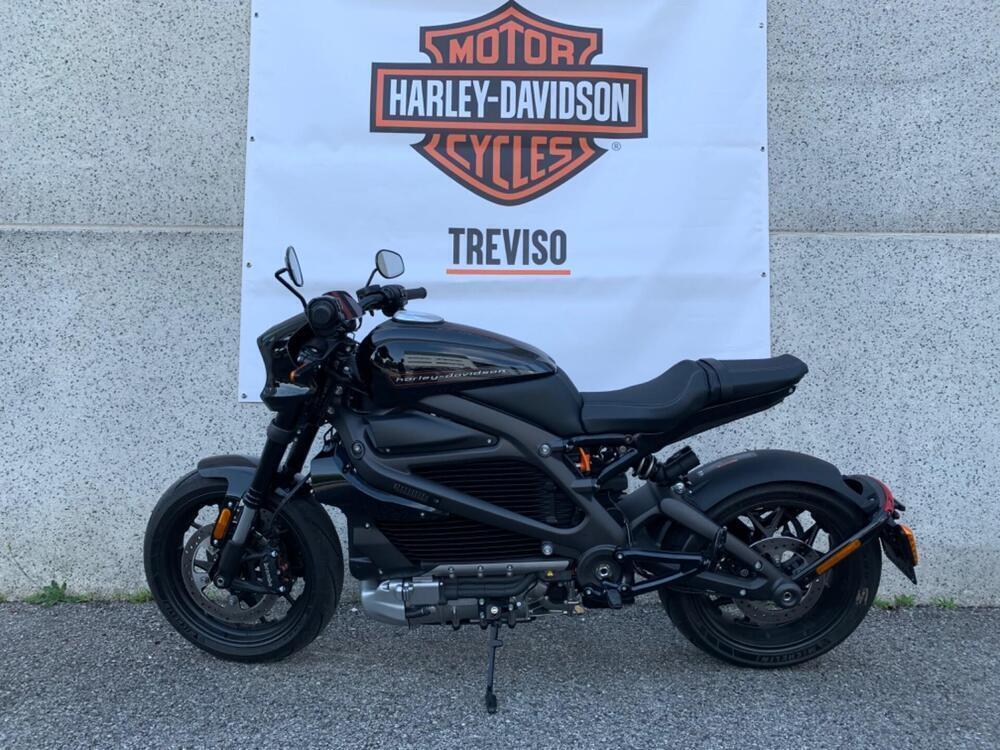 Harley-Davidson LiveWire (2019 - 22) (2)