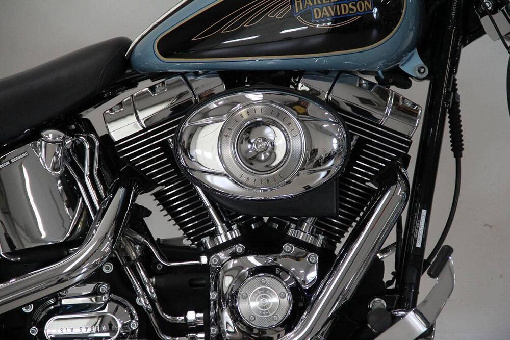 Harley-Davidson 1584 Custom (2007) - FXSTC (2)