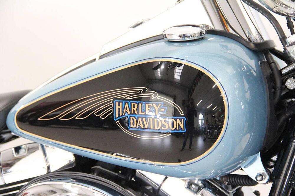 Harley-Davidson 1584 Custom (2007) - FXSTC (4)