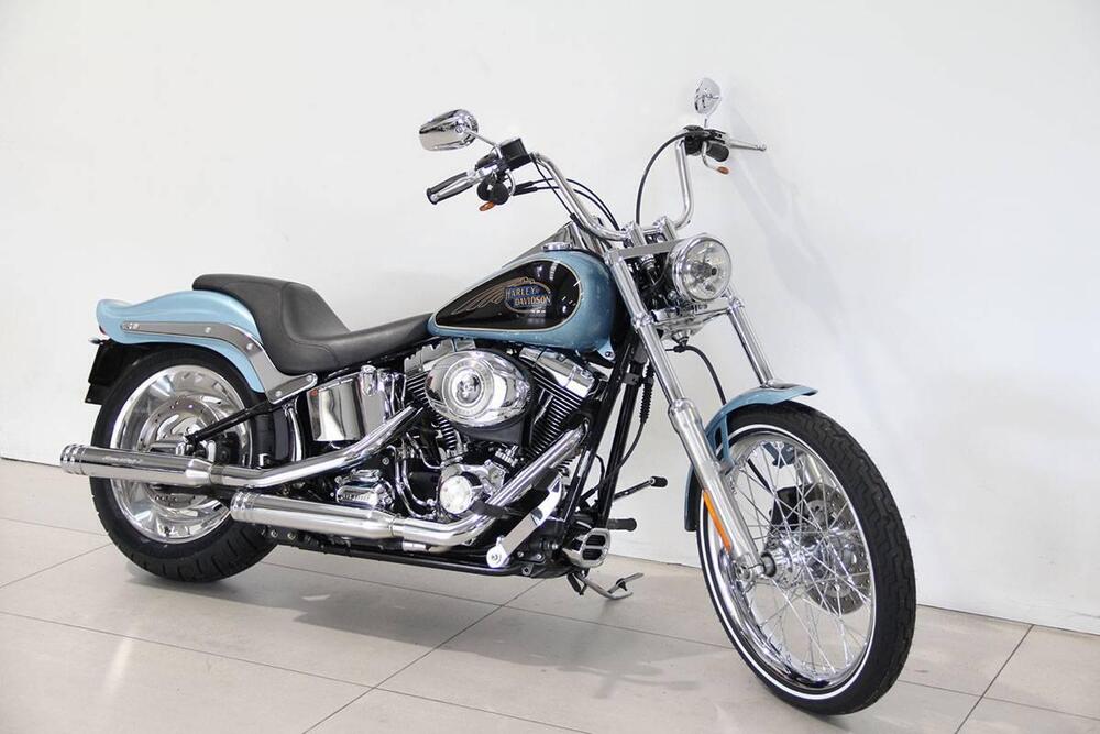 Harley-Davidson 1584 Custom (2007) - FXSTC (5)