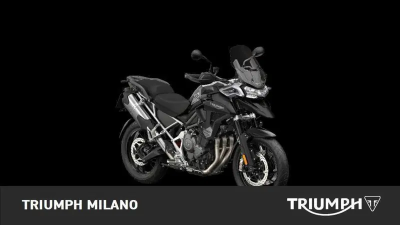 Triumph Tiger 1200 GT Pro (2024 - 26)