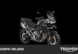 Triumph Tiger 1200 GT Pro (2024) nuova