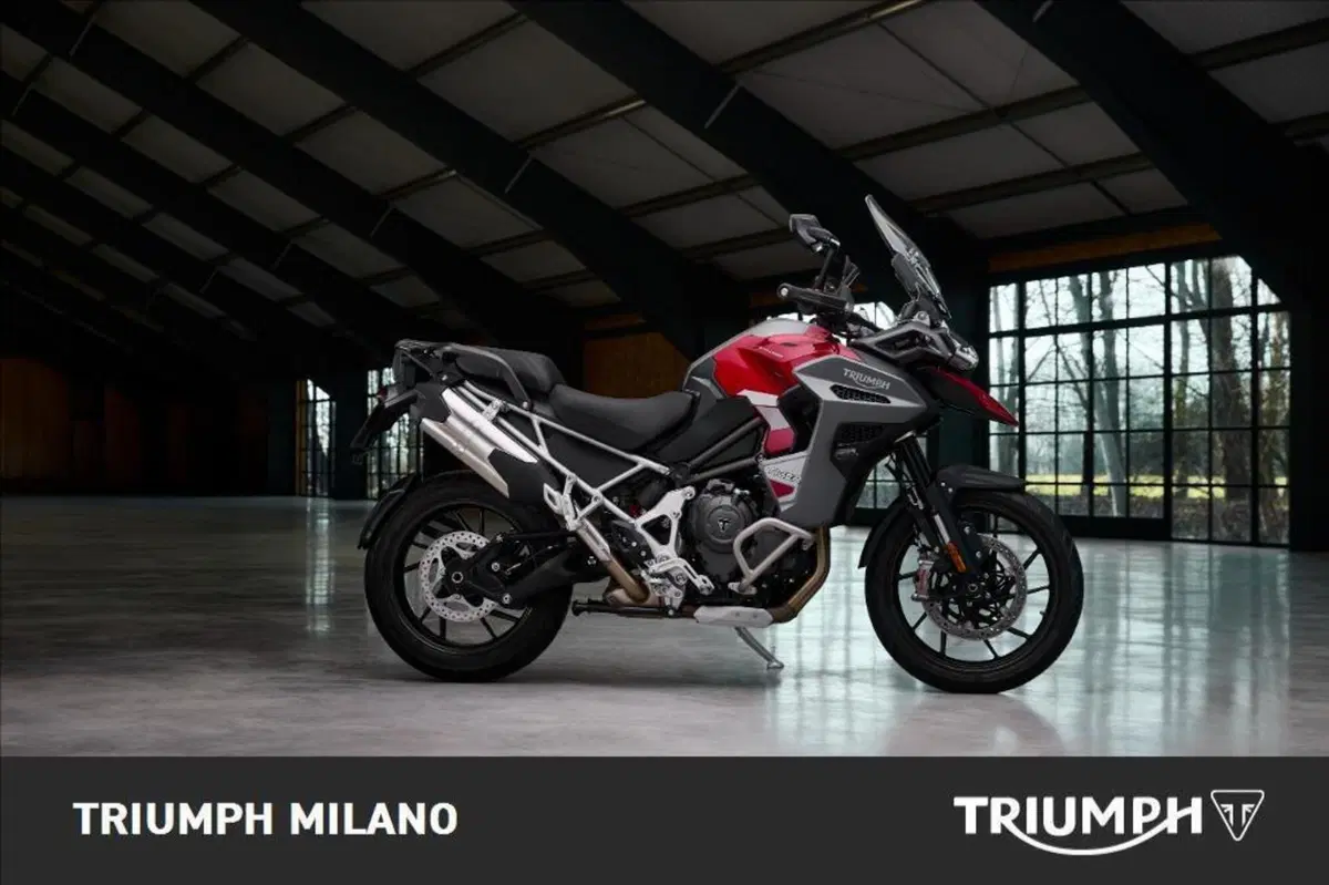 Triumph Tiger 1200 GT Explorer (2024 - 26) (3)