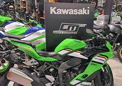 Kawasaki Ninja ZX-4RR (2024 - 25) nuova